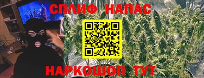 спиды Гагарин