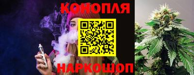 эйфоретик Гай