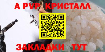 эйфоретик Гай
