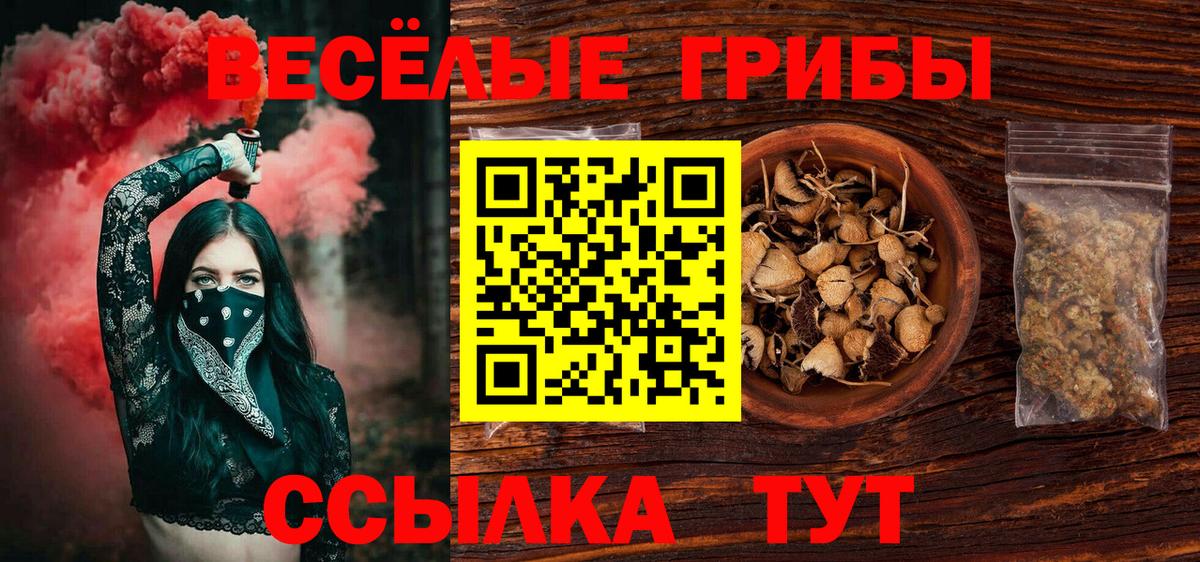 Псилоцибиновые грибы GOLDEN TEACHER Мурино