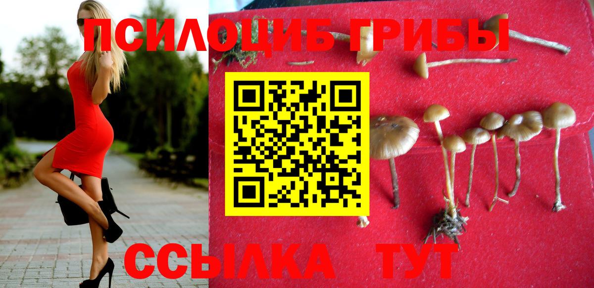Псилоцибиновые грибы MAGIC MUSHROOMS  Вход с VPN  Мурино  Галлюциногенные грибы GOLDEN TEACHER 